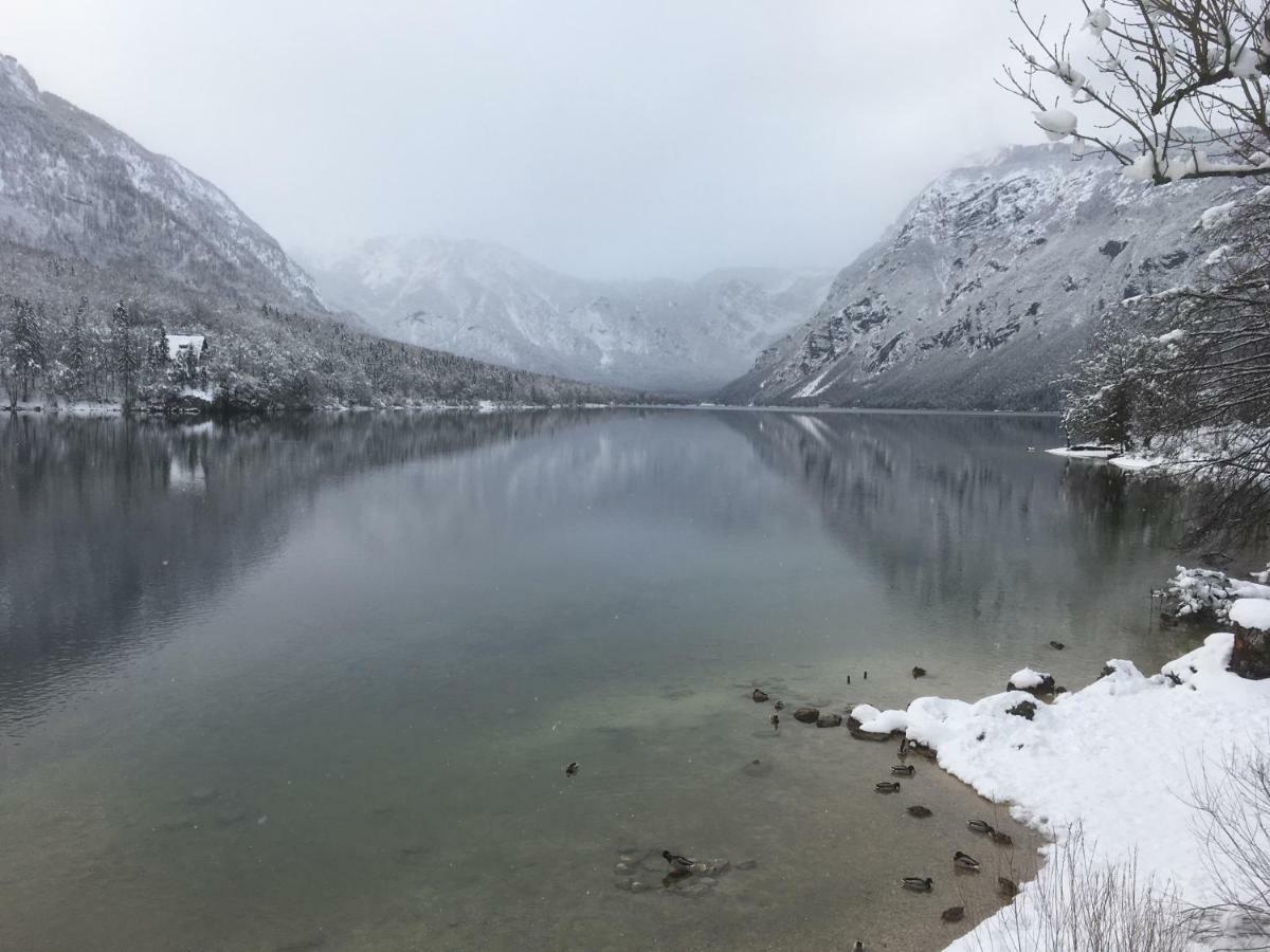 Casa Bohinj Daire Dış mekan fotoğraf