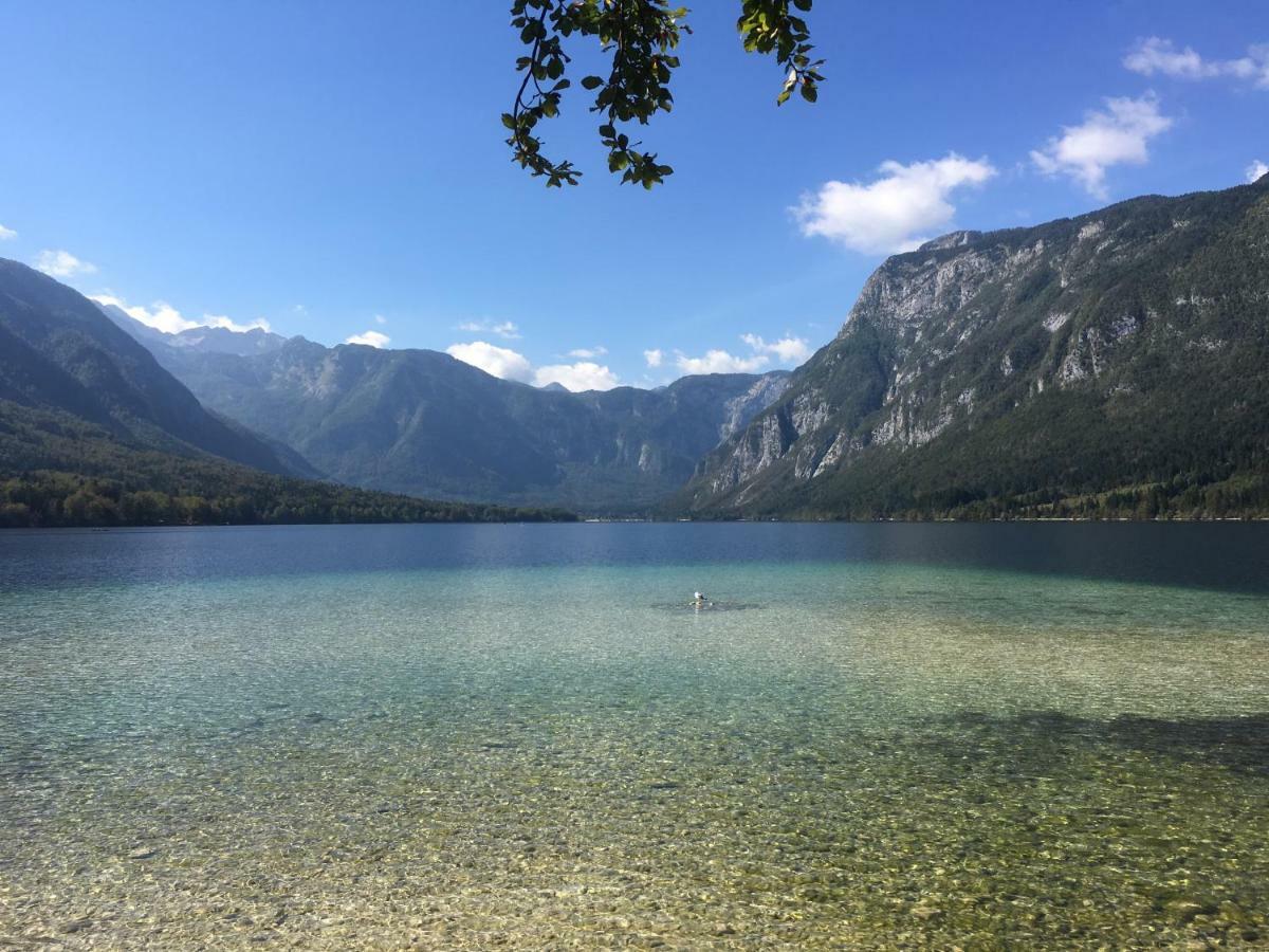Casa Bohinj Daire Dış mekan fotoğraf
